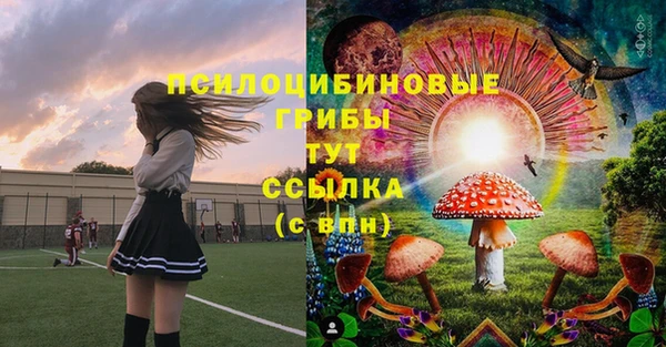 прущие грибы Алзамай