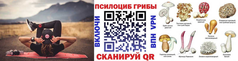 Псилоцибиновые грибы Psilocybe где продают Улан-Удэ